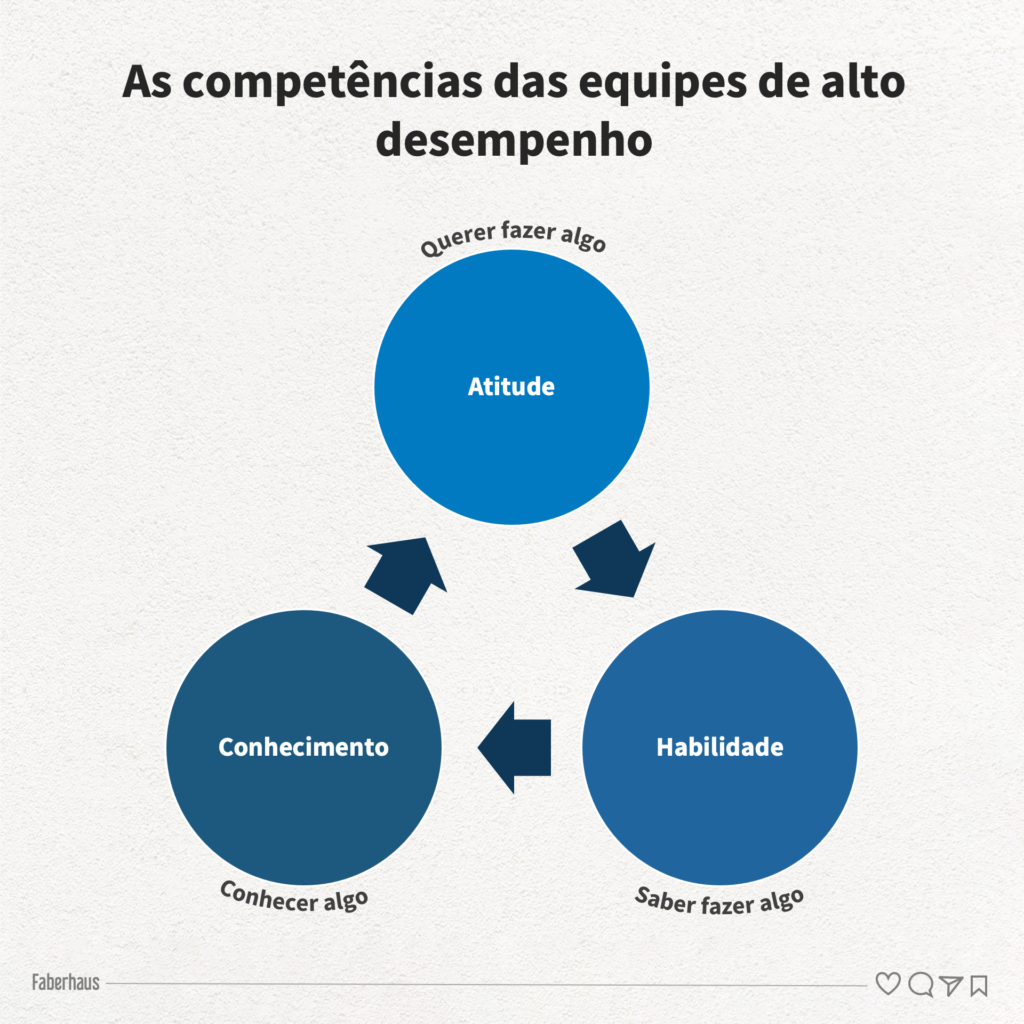 As competências das equipes de alto desempenho